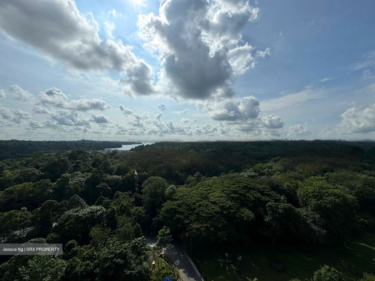 Eco Sanctuary (D23), Condominium #485863861